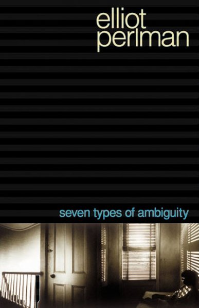 Seven types of ambiguity : [a novel] / Elliot Perlman.