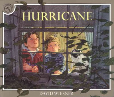 Hurricane / David Wiesner.