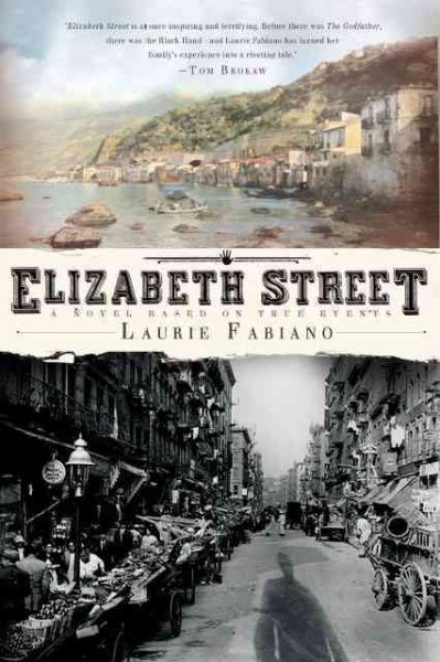 Elizabeth Street : a novel based on true events / Laurie Fabiano.