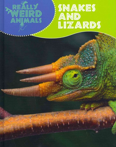 Snakes and lizards [Hard Cover] / by Clare Hibbert.