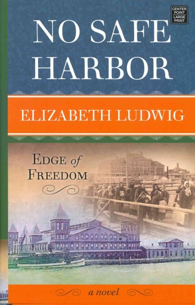 No safe harbor / Elizabeth Ludwig.
