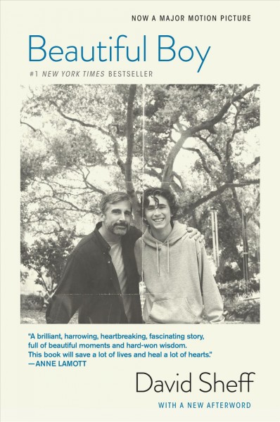 Beautiful boy [electronic resource] : a father's journey through his son's addiction / David Sheff.
