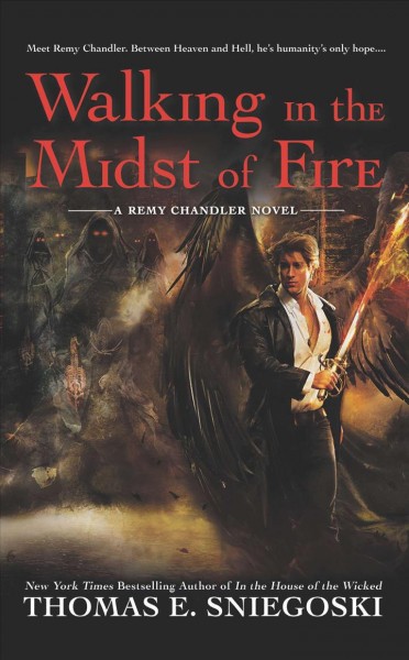 Walking in the midst of fire : a Remy Chandler novel / Thomas E. Sniegoski.