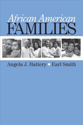African American families [electronic resource] / Angela J. Hattery, Earl Smith.