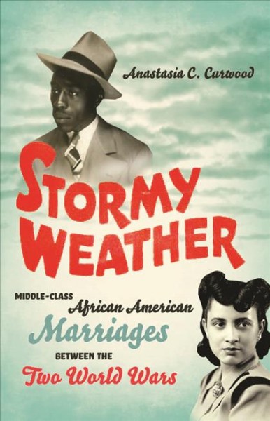 Stormy weather : middle-class African American marriages between the two World Wars / Anastasia C. Curwood.