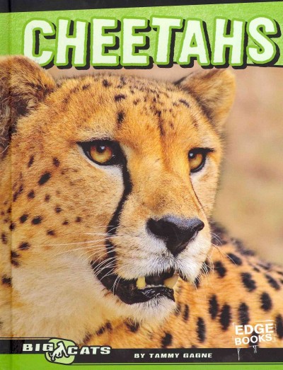 Cheetahs / by Tammy Gagne.