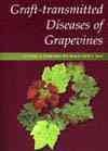 Graft-transmitted diseases of grapevines / L.R. Krake [and others].