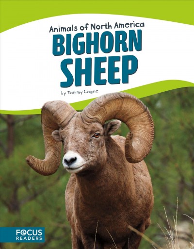 Bighorn Sheep / by Tammy, Gagne.