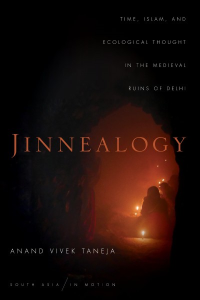 Jinnealogy : time, Islam, and ecological thought in the medieval ruins of Delhi / Anand Vivek Taneja.
