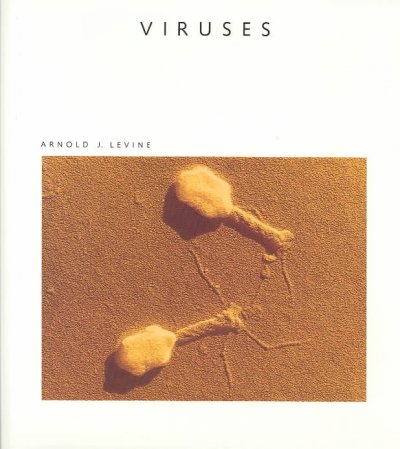 Viruses / by Arnold J. Levine. --