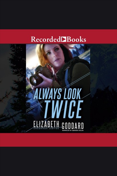 Always look twice [electronic resource] / Elizabeth Goddard.