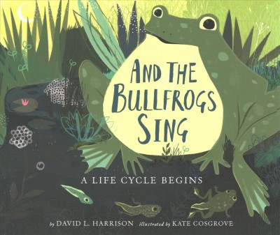 And the bullfrogs sing : a life cycle begins / by David L. Harrison ; illustrated by Kate Cosgrove.