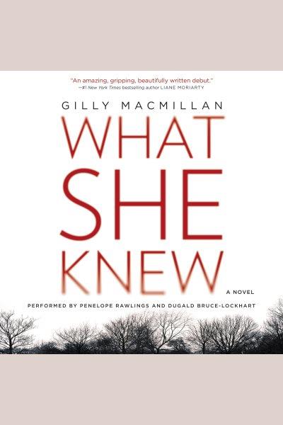 What she knew : a novel [electronic resource] / Gilly MacMillan.
