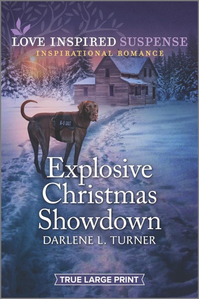 Explosive Christmas showdown / Darlene L. Turner. .