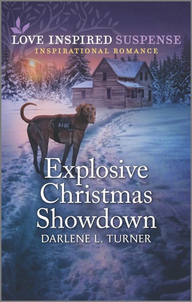Explosive Christmas showdown / Darlene L. Turner.