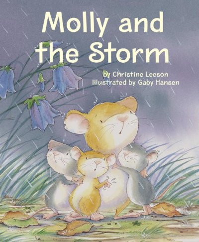 Molly and the storm / by Christine Leeson ; illustrated by Gaby Hansen.