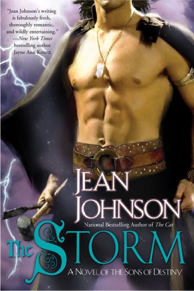 The storm / Jean Johnson.