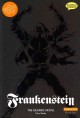 Frankenstein : the graphic novel ; original text version  Cover Image