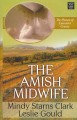Go to record The Amish midwife