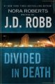 Divided In Death  Cover Image