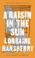 A raisin in the sun : The unfilmed original screenplay  Cover Image