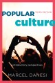 Popular culture : Introductory perspectives  Cover Image