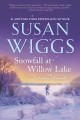 Go to record Snowfall at Willow Lake