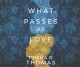 Go to record What passes as love : a novel