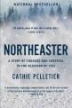 Northeaster : a story of courage and survival in the blizzard of 1952  Cover Image